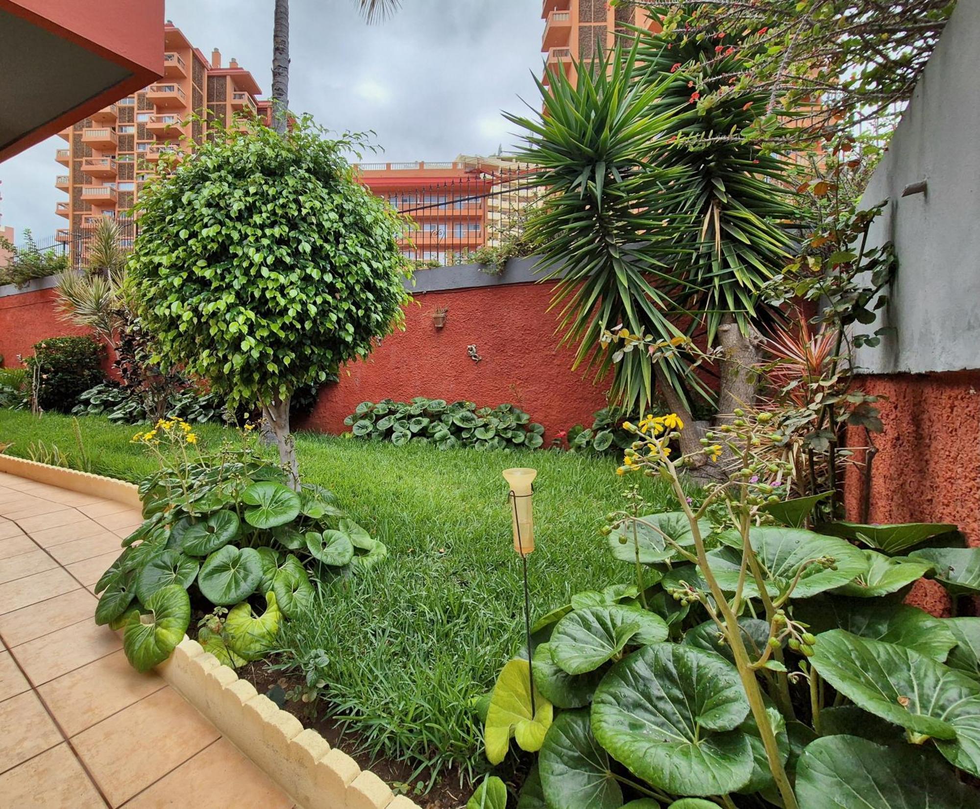 Canaima Apartments Пуерто-де-ла-Крус Екстер'єр фото
